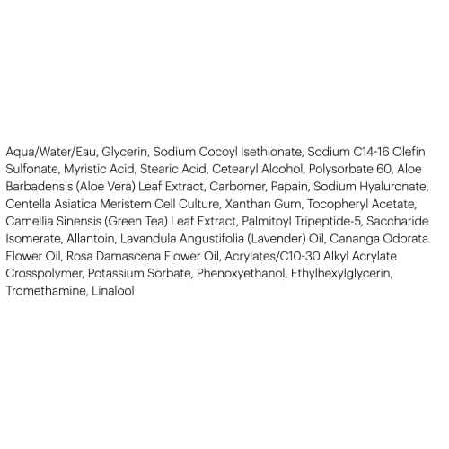 Glo Skin Beauty Phyto-Active Cream Cleanser | Rinses Away Impurities for Improved Radiance