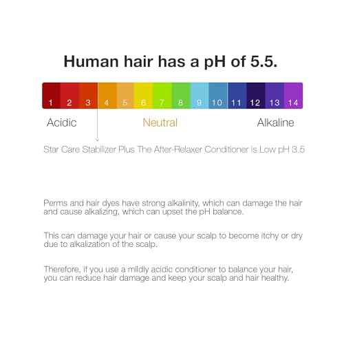 Stabilizer Plus The After-Relaxer Conditioner With Penetrating Foaming Action Approximate pH. 3.5 (16 Fl Oz (Pack of 2))