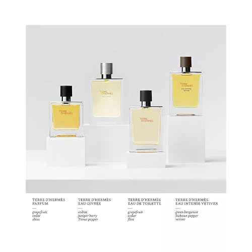 Hermes Terre D'hermes Eau Intense Vetiver Eau De Parfum Spray for Men, 1.6 Ounce