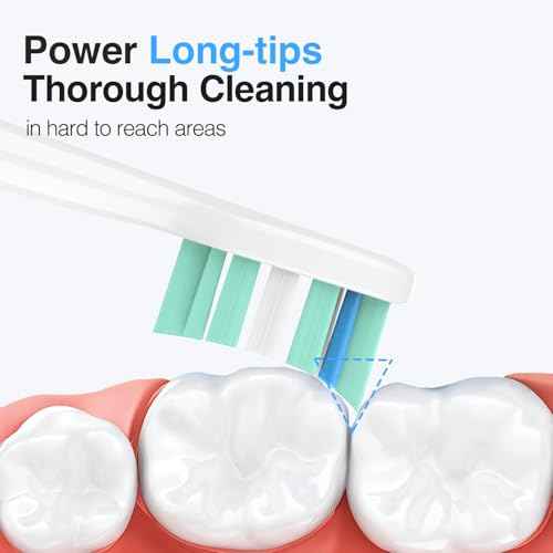 Toothbrush Heads for Philips Sonicare Replacement Heads G2,C1,4100,C2,Electric Replacement Brush Head Compatible with Phillips Sonicare Brush G2,C2,C1,for Philips Sonic Care Toothbrush,6 Pcs
