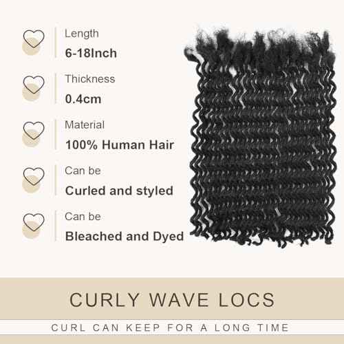 DAIXI Curly Wave Loc Extensions Human Hair, 100% Real Human Hair Dreadlock Extensions for Man/Women Handmade Permanent Dread Extensions Can Be Dyed Bleached Twisted (0.4cm, 1B, 10 Inch 30 Strands)