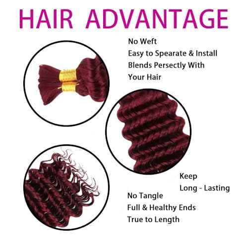 Burgundy Human Braiding Hair 22 Inch Deep Wave Bulk Human Hair for Braiding No Weft 2 Bundles 100g Curly Braiding Hair Brazilian Curly Human Hair Extensions for Boho Braids 99J Red Braiding Hair