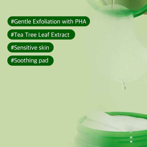 Papa Recipe Tea Tree Toner Pads (Large 3 Inch) _PHA Exfoliating Pads for Clearer, Balanced Skin_Korean Skincare, 70 Sheets