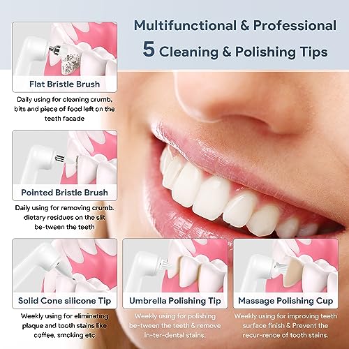 6 Tooth Polisher Replacement Brush Heads£¬Replacement Heads for Tooth Polisher,Teeth Tartar Remover Accessories,6 Varied Brush Heads Replacement Heads Kit