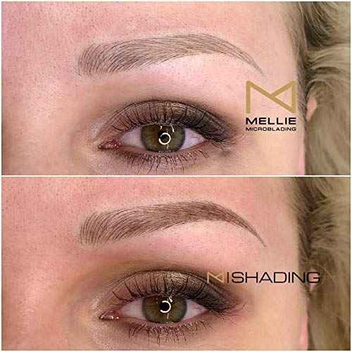 PACK OF 10 - Mellie Microblading Disposable Microblading Pen with Pigment Sponge Disposable Tool For Creating Eyebrows Microblading Supplies (Black, U18 .18mm)