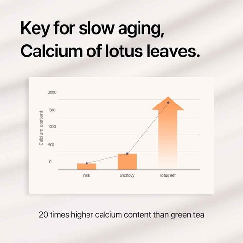 THEPURELOTUS YOUTHBIOTICS Lotus Concentrate with Centella, Premium Korean Vegan Probiotic Anti-Aging Serum Sensitive Skin –, Panthenol & Adenosine 80ml
