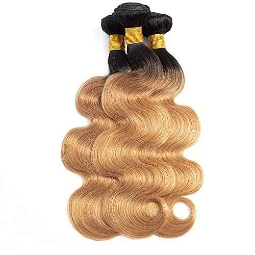 1b27 Ombre Body Wave Human Hair Bundles Two Tone Black and Honey Blonde Bundles Wet And Wavy 100g/Pcs 8A Grade Brazilian Honey Blonde for Black Women 14 16 18 Inch