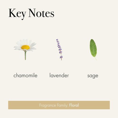 LAFCO New York Hand Cream, Chamomile Lavender - 12 oz - Restores & Repairs Skin - All Skin Types - Hypoallergenic, Synthetic Free & Cruelty Free - Made in Italy