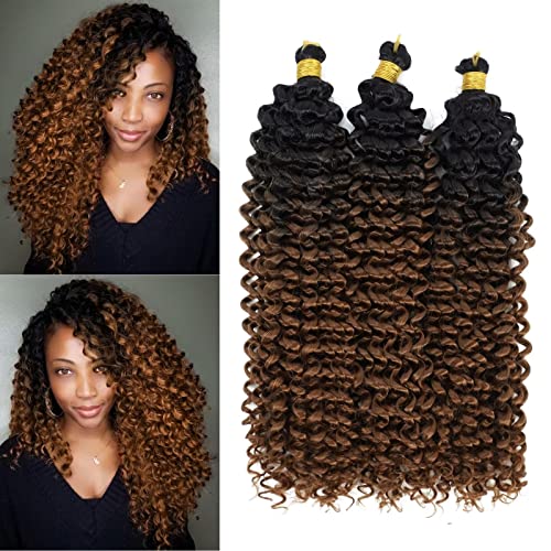 Aliabsion Ombre Brown Afro Kinky Curly Braiding Hair Extensions Water Curl Crochet Hair 3pcs 14inch Crochet Curly Braid Hair Black to Brown Short Synthetic Hair Styles (1b/30)