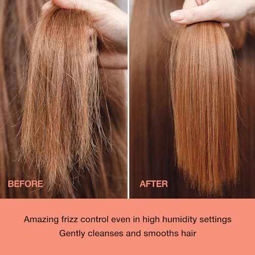 Ginger Lily Farms Salon Formula FrizzFreeze Pro Anti-Frizz Conditioner for Frizzy Hair, 100% Vegan & Cruelty-Free, 1 Gallon (128 fl oz) Refill