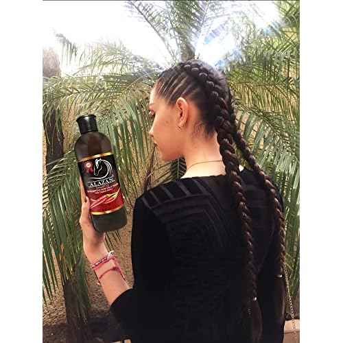 ALAZAN SHAMPOO OF HORSE, FOR HUMAN USE, WITH CHILE AND SABILA FOR OILY HAIR