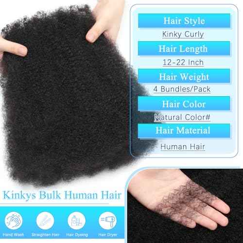 Afro Kinkys Bulk Human Hair 22 Inch Afro Kinky-Curly Human Hair Bulk for Twist Dreadlock Extensions Locs Repair Soft 4C Curly for Braids 4 Bundles 80 Gram Natural Color#