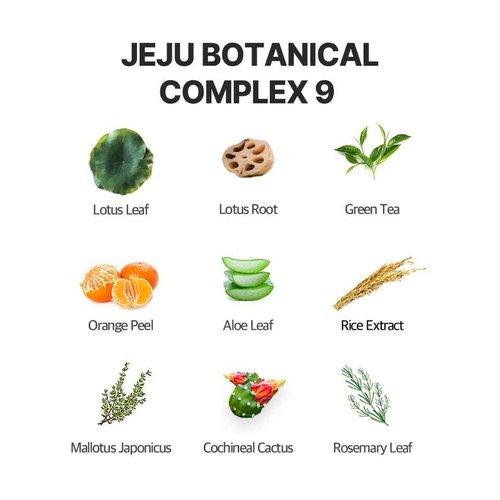 THEPURELOTUS Jeju Botanical PH Balancing Cleanser｜ ultra gentle 3-in-1 cleansing｜ Korean vegan cleanser(200ml, 6.76 fl. oz.)