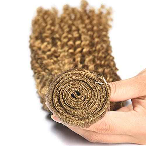 Blonde Bundles Human Hair 27 Kinky Curly Bundles Honey Blonde Human Hair Bundle 20 22 24 inch Color 27 Wet and Wavy Bundle 300g