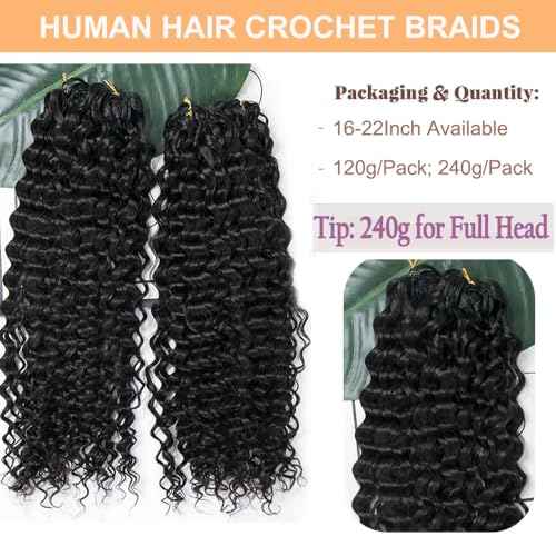 Crochet Human Hair Extensions Water Wave Pre-Separated Curly Crochet Hair Extensions Invisible Micro Loop Crochet Hair Knotless Feather Crochet Human Hair 20inch 60g