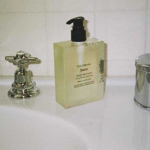 TEA Collective Junos Pufiry Hand Wash | Yuzu, Perilla Leaf, Eucalyptus | 9.46 Fl Oz | Product of Korea