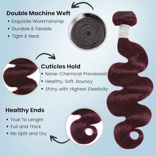 ALHER #99j Dark Burgundy Body Wave Bundles with 2x6 Closure, Purplish Wine Red Color 3 Bundles with 2x6 Long Deep Part Closure With Baby Hair, 100% Real Human Hair 10 12 14 +10 Inch