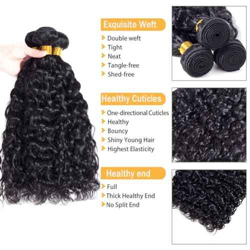 Water Wave Human Hair Bundles Brazilian Remy Water Wave 10A Curly Human Hair 3 Bundles Unprocessed Human Hair Extension Double Weft Natural Color for Black Women 18 20 22inch