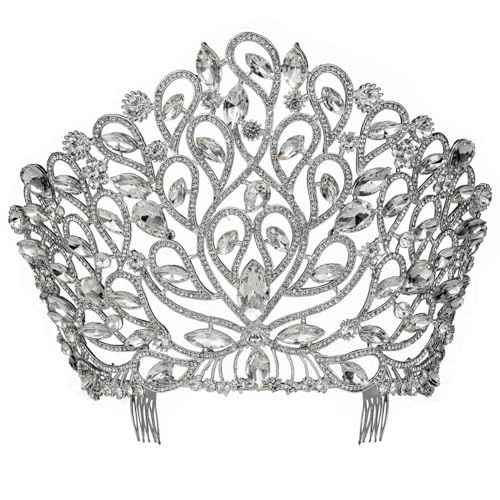 Fancy Beauty Queen Crystal Rhinestone Tiara Crown With Hair Combs Wedding Bridal Beauty Contest Prom Pageant Silver Plated T994