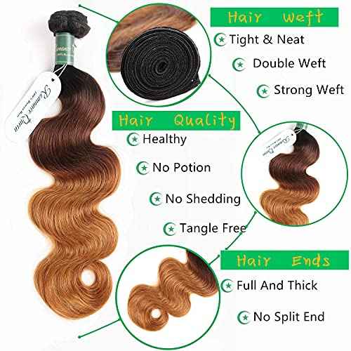 Ombre Bundles With Closure Body Wave Human Hair Brazilian Human Hair 3 Bundles With Closure Weave Hair Human Bundles (12 14 16 + 10 inch, T1B/4/30)