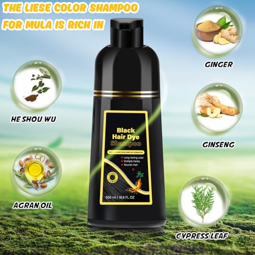 Black Hair Dye Shampoo 3 in 1, Hair Color Shampoo for Gray Hair, Natural Herbal 3 in 1 Hair Dye for Women Men 500ml