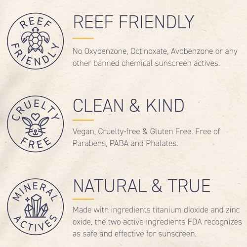Brush On Block SPF 50 Mineral Powder Sunscreen, Translucent, Broad Spectrum, Water Resistant Face Protection, For All Skin Tones & Types, Reef Friendly, Mfg in USA