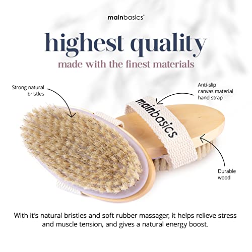 MainBasics Dry Brushing Body Brush for Lymphatic Drainage, Dry Skin, Cellulite, Blood Circulation with Exfoliating Natural Bristles for Flawless Skin