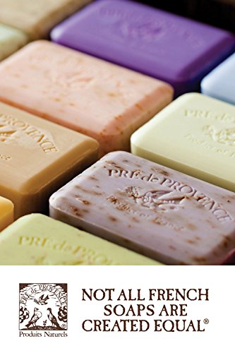 Pre de Provence Artisanal Soap Bar, Enriched with Organic Shea Butter, Natural French Skincare, Quad Milled for Rich Smooth Lather, Green Tea, 8.8 Ounce