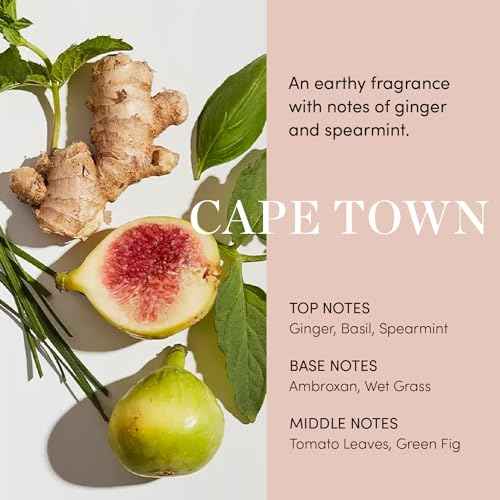 OUAI Scalp Serum - Balancing Hair Serum with Red Clover Extract, Siberian Ginseng and Peptides for Thicker and Fuller-Looking Hair - Paraben, Phthalate and Sulfate Free Scalp Care (2 Fl Oz)