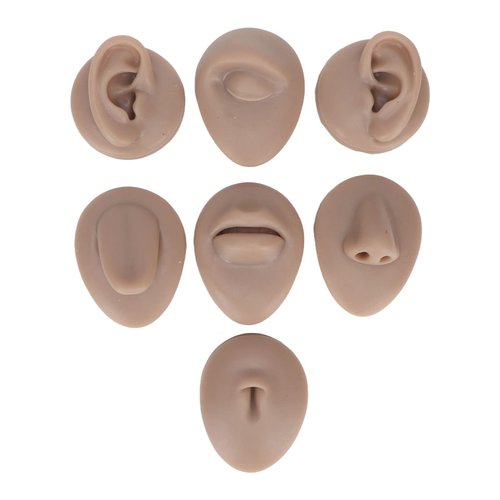Soft Silicone Flexible Model Body Part Displays Set, Silicone Tongue Mouth Navel Ear Model for Piercing Practice and Jewelry Display Acupuncture Teaching Tool, Education (Dark
