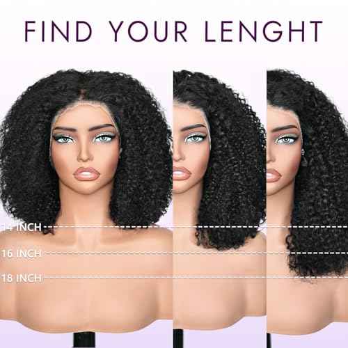 Afro Kinky Curly Wig Human Hair, 13x4 Lace Front Curly Afro Glueless Wigs 180 Density, Pre Plucked Transparent Lace Frontal, Brazilian Human Hair Bob Wig for Women, Natural Black 18 Inch