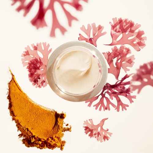 Shiseido Benefiance Wrinkle Smoothing Day Cream - 50 mL - Broad-Spectrum SPF 23 Anti-Aging Moisturizer - Visibly Corrects Wrinkles & Intensely Hydrates - Non-Comedogenic