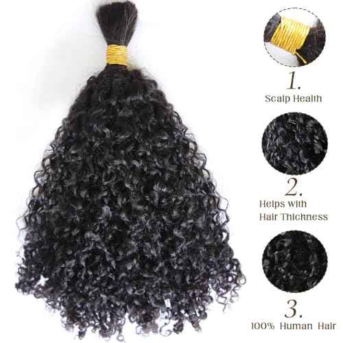 Afro Kinky Bulk Human Braiding Hair 100% Unprocessed Brazilian Virgin Human Hair Extensions Micro Kinky Curly Braids Hair Braids Double Drown Full End Bulk Hair 22 Inch 100g