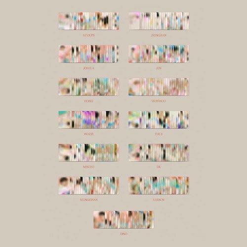 SEVENTEEN - 4th album [Face the Sun] CARAT version (JUN)