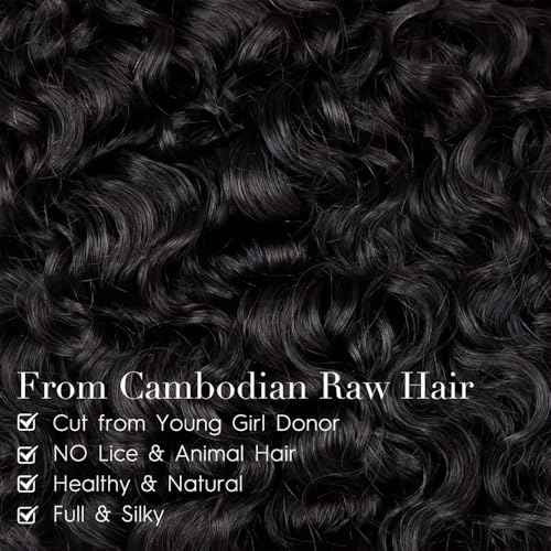 PerisModa 15A Raw Burmese Curly Bundles 100% Human Hair Bundles Pix Curly Bundles Unprocessed Human Hair Extensions 26 Inches 1PC 100% Unprocessed Virgin Water Wave Hair For Women Natural Black