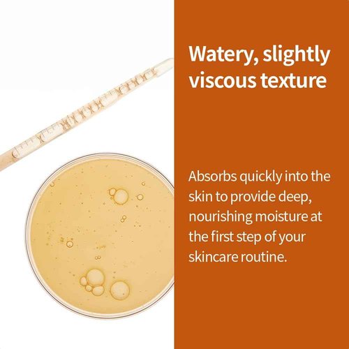 Fraijour Alchemic Ginsenoside Watery Essence – Revitalizing Essence with Ginseng & 11 Fermented Extracts, Balances Skin, Boosts Elasticity & Glow, Anti-Aging, 8.45 fl. oz.