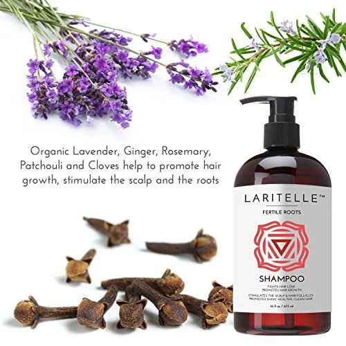 Laritelle Organic Shampoo 17 oz + Conditioner 16 oz | Prevents Hair Loss, Promotes Hair Growth | Ayurvedic Herbs, Lavender, Ginger & Rosemary | NO GMO, Sulfates, Gluten, Alcohol, Parabens, Phthalates