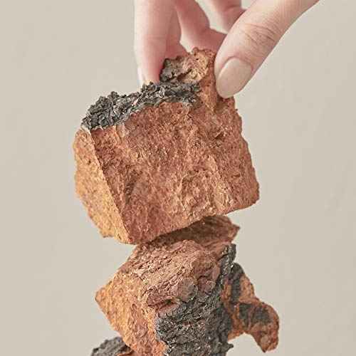 BLITHE Pressed Serum Chaga Mushroom - Advanced Skin Tightening Cream for Face, Face Tightening and Lifting Formula for a Natural Face Lift 1.68oz