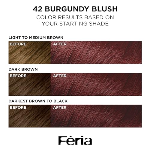 L¡¯Oreal Paris Feria Multi-Faceted Shimmering Permanent Hair Color, High Intensity Hair Dye for 3X Highlights, 42 Burgundy Blush, 1 Hair Dye Kit