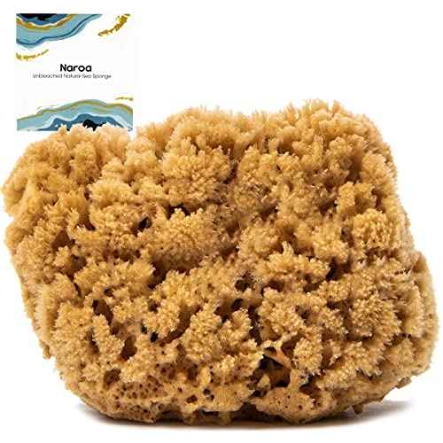 Naroa Massage Natural Shower Sponge X Large | Unbleached Body Scrubber Puff | Bath Sea Loofah for Healthy Skin | Sustainable Plastic Free