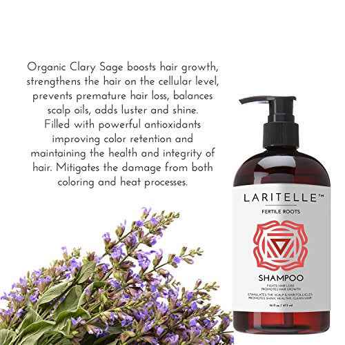 Laritelle Organic Shampoo Fertile Roots 17.5 oz ? Fights Hair Loss & Promotes Healthy New Growth with Lavender, Ginger, Rosemary, Patchouli, Clary Sage ? Strengthens, Nourishes & Balances Scalp
