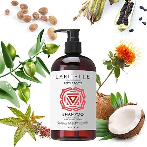 Laritelle Organic Shampoo Fertile Roots 17.5 oz ? Fights Hair Loss & Promotes Healthy New Growth with Lavender, Ginger, Rosemary, Patchouli, Clary Sage ? Strengthens, Nourishes & Balances Scalp