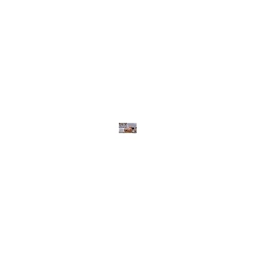 Paula's Choice CLINICAL Ceramide Firming Eye Cream with Vitamin C and Retinol, for Fine Lines, Wrinkles and Loss of Firmness