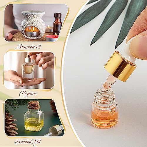 100 Pcs Mini Glass Oil Dropper Bottle Bulk, Clear Essential Small Empty Bottles Sample Containers Perfume Liquid Vials with Cap for Traveling (1 ml,Gold)