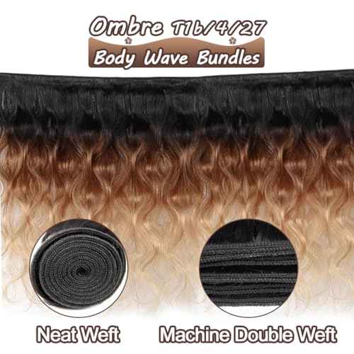 T1B/4/27 Bundles Ombre Human Hair Bundles 12A Unprocessed Virgin Hair 3 Bundles 20 20 20 Inch 3 Tone Brown and Honey Blonde Ombre Wavy Human Hair Bundle Deals for Quick Weave Colored Hair Extensions