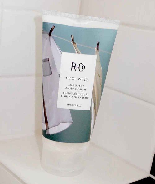 R+Co Cool Wind pH Perfect Air Dry Crème (5 Oz) + Bonus Deluxe Sample(.5 Oz) | Hydrates + Tames + Softens | Vegan + Cruelty-Free