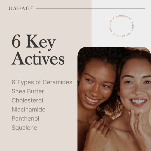 UAHAGE Sebyuk Cream Barrier Repair - Long-Lasting Hydration, Vegan Korean Skincare with Ceramide, Cholesterol, Shea Butter, Niacinamide, Panthenol, Squalane (50ml / 1.69 fl.oz)