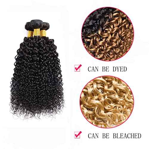 Kinky Curly Bundles Human Hair Bundles Brazilian Curly Hair Bundles 12A Virgin Curly Human Hair Bundles Curly Weave Hair Bundles Natural Black (12 14 16) ¡¦ ¡¦