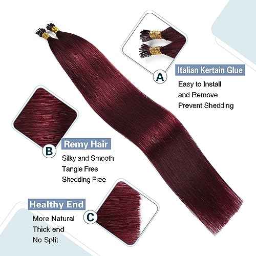 Sunya I Tip Hair Extensions Human Hair Burgundy 18 Inch Wine Red Pre Bonded I Tip Hair Cold Fusion I Tip Hair Extensions #99j 40g 50 Strands/Pack