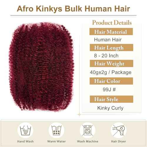 8 Inch Human Braiding Hair Afro Kinkys Bulk Human Hair for Dreadlocks Extensions Repair Locs Soft Locs1 Bundle 40 Gram (8Inch, 99j)